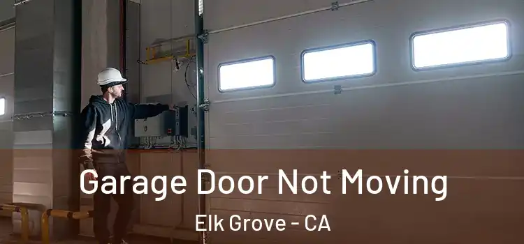  Garage Door Not Moving Elk Grove - CA