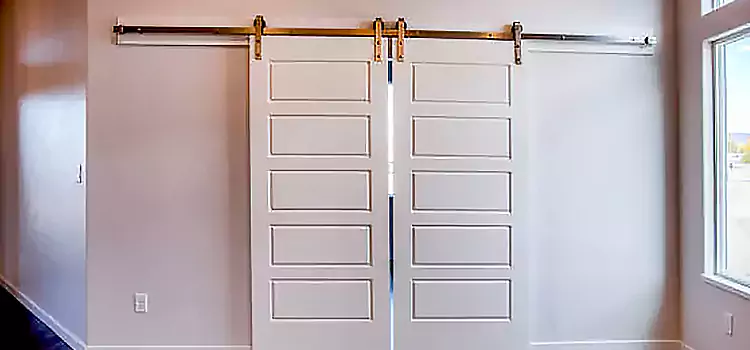 Glass Barn Door with Installation Hardware Kit Elk Grove