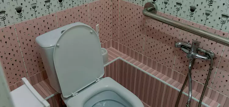 Meeting Diverse Needs With Accessible Restroom Solutions in Elk Grove, CA