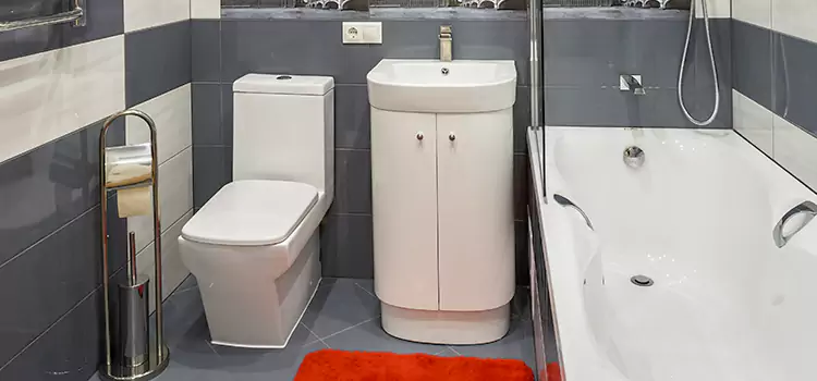 Hansgrohe Shaving Mirror Elk Grove